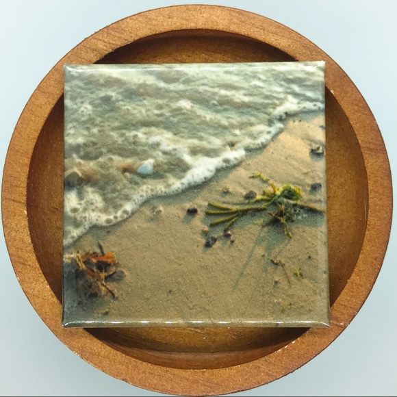 ✨3/$25✨ Sea Foam and Seaweed Photo Magnet - Picture 1 of 4